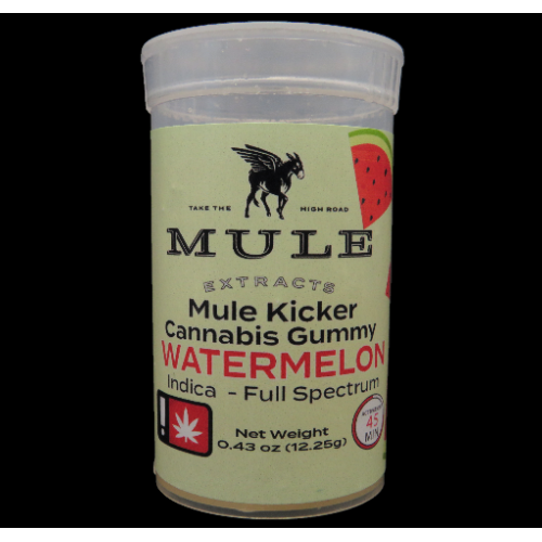 Mule - 100mg - Watermelon